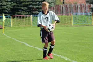 Srovnání Spotřeby Aut