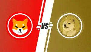 Carvertical Vs Cebia